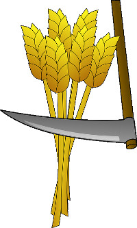 höstskörd