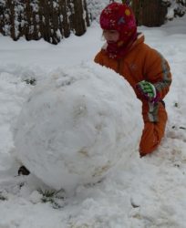 Snöboll