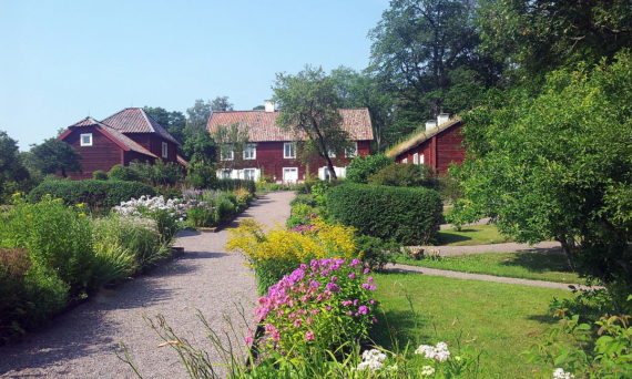 Rågskörd ,Linnés Hammarby (Hammarbydagen)