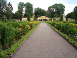 Linnés, Canzonetta (dekorativ bild)