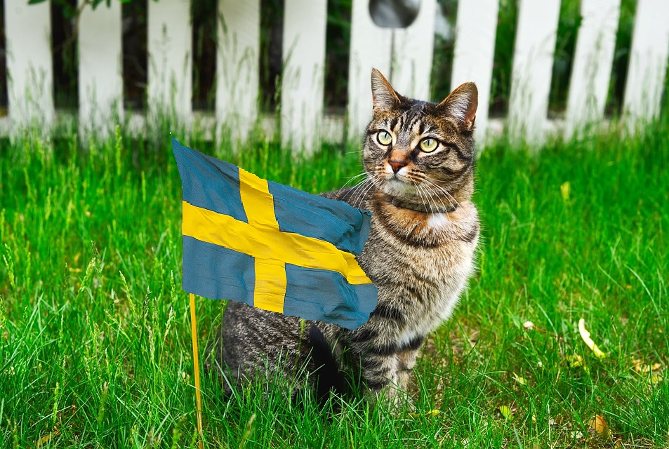 nationaldagen