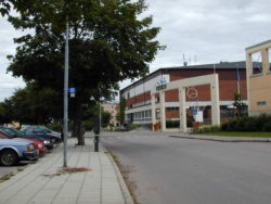 Dysleximässan , vetenskapsfestival (dekorativ bild)