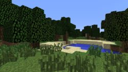 dataspel, Minecraftvärld