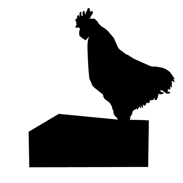 musikföreställning