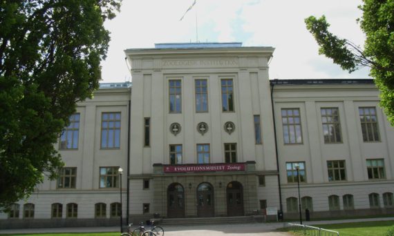 Evolutionsmuseet, samlingarna,