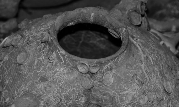 Utgrävning, arkeologi