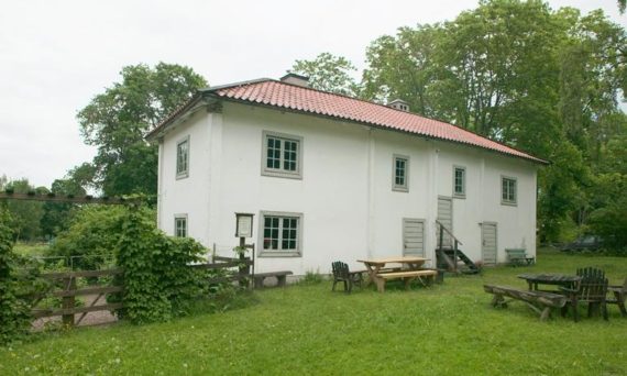 linnés sävja - Gårdsoasen (dekorativ bild på byggnaden)