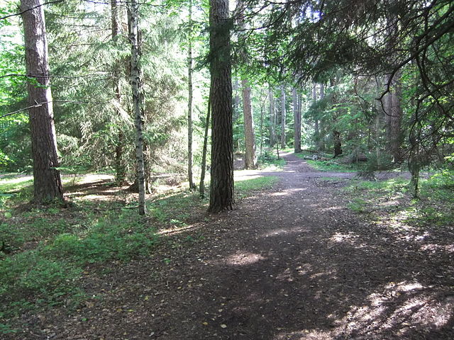 Stadsskogens dag 2018,