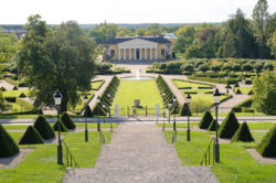 julefröjd. plantera, kulturnatt, Tropiska växthuset, Botaniska trädgården, orangeriet, Museidagen (dekorativ bild)