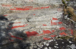 Natur och kultur vid Hemsta Naturreservat (dekorativ bild av hällristningar vid Hemstahällen)