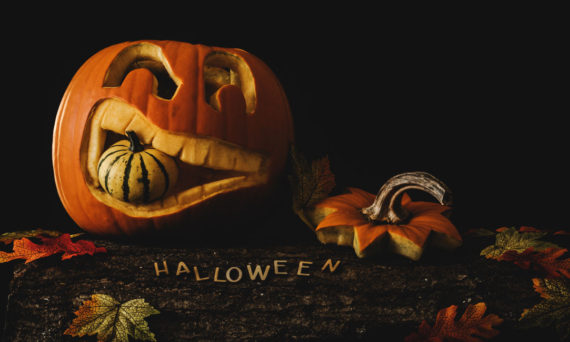 Scream Night Järlåsa (Dekorativ bild)