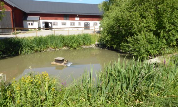 Dagläger på Gränby 4H