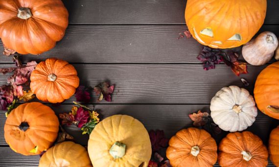 Höstlovsfest med Junis och UNF (dekorativ bild av pumpor)