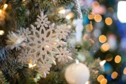 Taxinge Julmarknad (röda julklockor på gran)