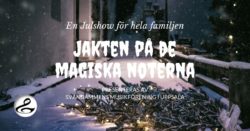 Julshow Jakten på de magiska noterna (Informativ bild - all information framgår i eventposten))