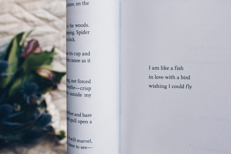 Final av Poesi utan gränser (dekorativ bild),Arabisk poesiafton, av en engelskspråkig dikt i en bok "I am lika a fish, in love with a bird, wishing I could fly"),