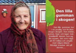 Den lilla gumman i skogen (informativ bild av teateraffisch - all information framkommer i eventposten)