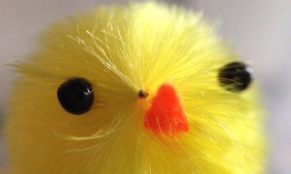 Påskpyssel (bild på kyckling, dekorativ bild)