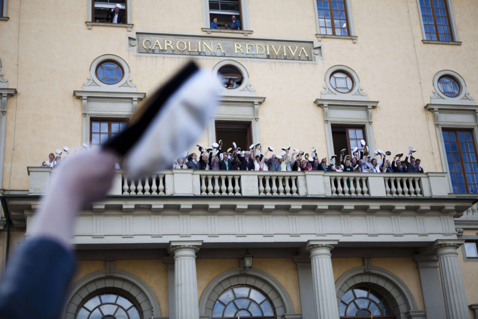 Mösspåtagning på Carolinabacken 2019 (dekorativ bild)