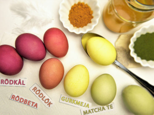 Bild som visar färgresultat av färgning av ägg med rödkål, rödbeta, rödlök, gurkmeja och matcha te (informativ bild)