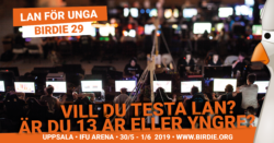 Lan för unga (dekorativ bild)