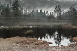 Gredelby hagar och Trunsta träsk (dekorativ bild)