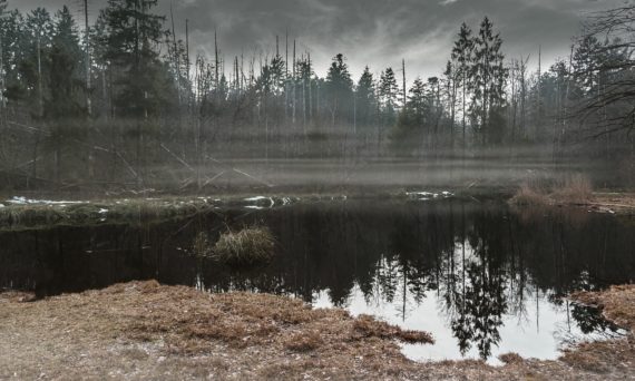Gredelby hagar och Trunsta träsk (dekorativ bild)