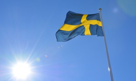 Nationaldagsfirande i Parksnäckan (dekorativ bild)