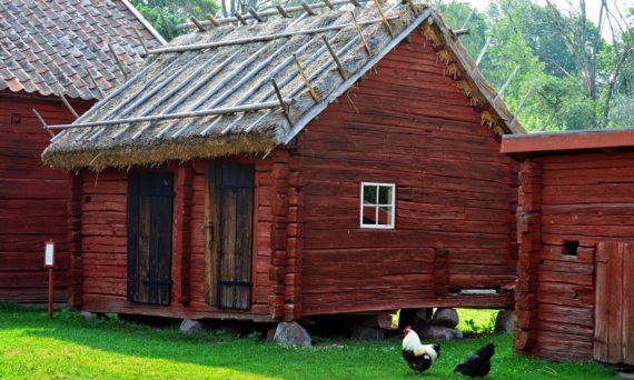 Leka för att lära, Queer (dekorativ bild)