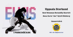 Elvis i Parksnäckan – En Storbandshyllning (Informativ bild - all information framgår i eventposten)