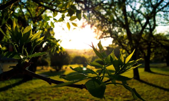 En personlig resa - vägen till en anställning | Infoteket (dekorativ bild)