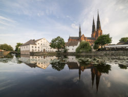 Kulturnatt på Upplandsmuseet - aktuella teman och forntid (dekorativ bild)