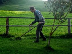 Slå med lie (dekorativ bild)