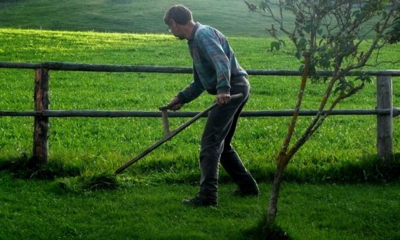 Slå med lie (dekorativ bild)