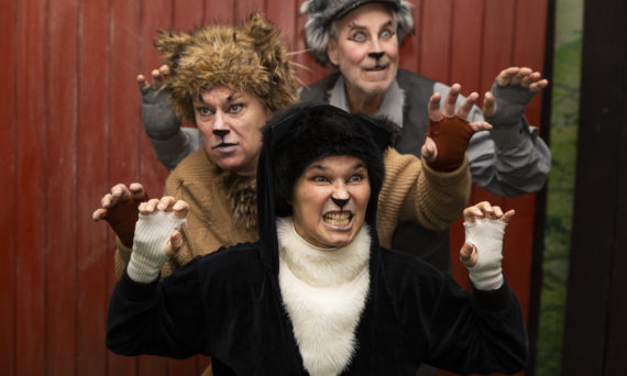 Klösiga katters klubb (dekorativ bild)