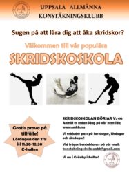 Skridskoskola (dekorativ bild)