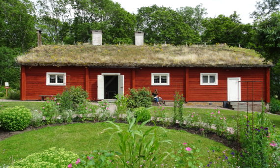 Konsert hos Linné (dekorativ bild)