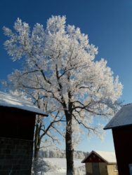 KFUM (dekorativ bild)