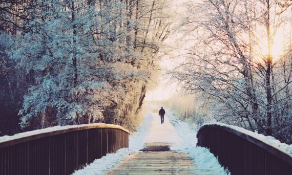 Naturreservatet (dekorativ bild)