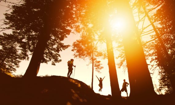 Grötlunk i Länna | Friluftsfrämjandet (dekorativ bild)