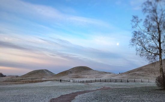 Historisk julmarknad vid Gamla Uppsala museum (dekorativ bild)