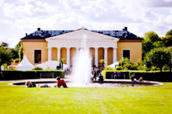 Nyårsöppet i Tropiska växthuset | Botaniska trädgården