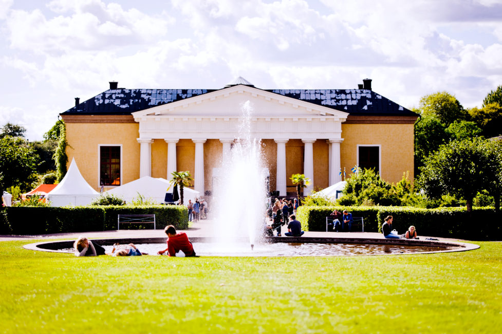Nyårsöppet i Tropiska växthuset | Botaniska trädgården