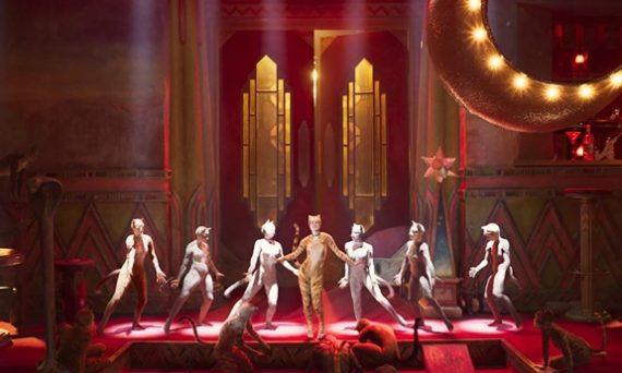 Cats (dekorativ bild)