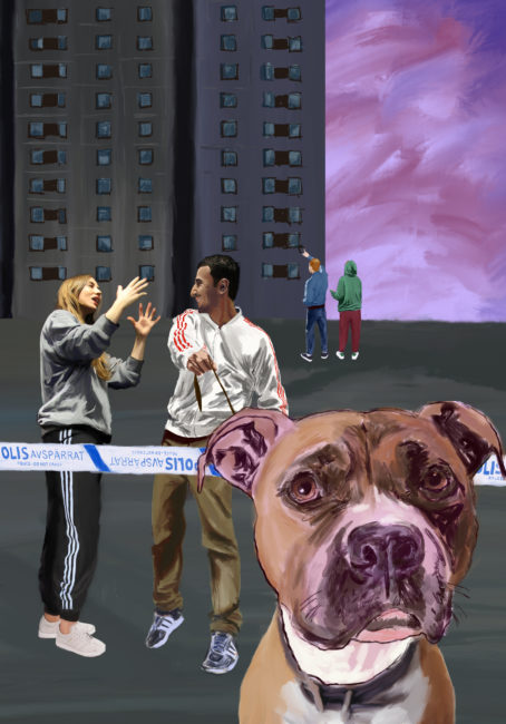 Pitbull (dekorativ bild)