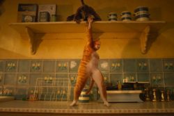 Cats (dekorativ bild)