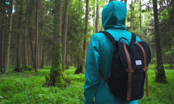 Vandring (dekorativ bild)