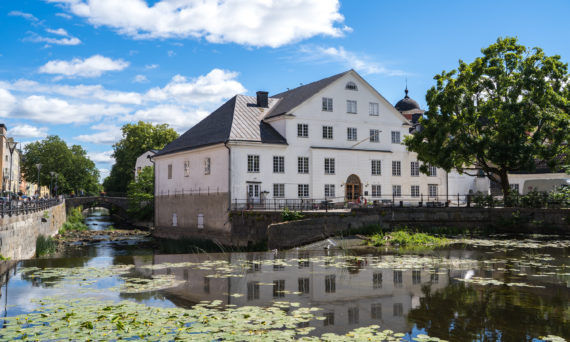 Järnålderns kvinnor (dekorativ bild)