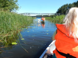 Sommarkollo på Eda lägergård 2020 (dekorativ bild)