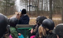 Dagläger på Gränby 4H-gård sommaren 2020 (dekorativ bild)